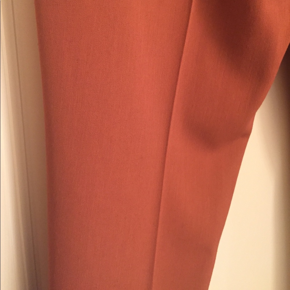 π Theory Slacks - Picture 3 of 5