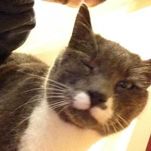 Meet your Posher, Colin