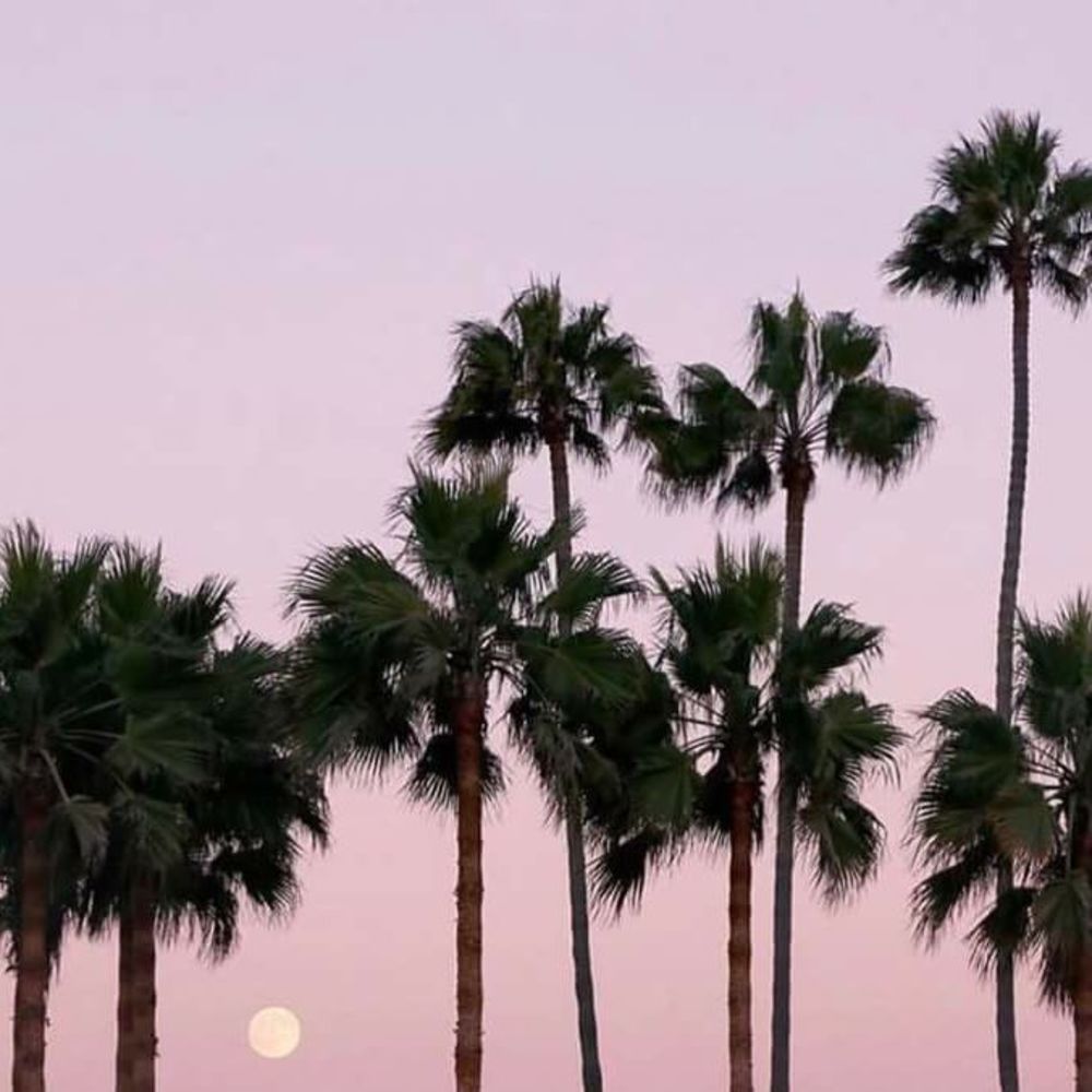 Meet your Posher, Cayetana