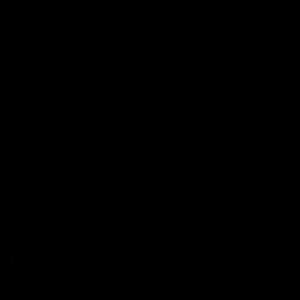 Meet your Posher, Moises