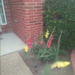 Meet your Posher, Rella