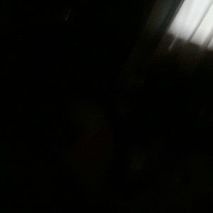 Meet your Posher, Maddie