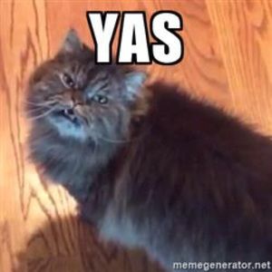 Meet your Posher, Monica