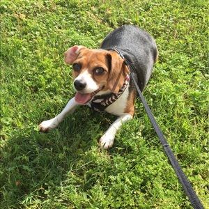 Meet your Posher, Mindy