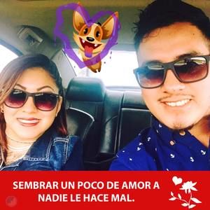 Meet your Posher, George