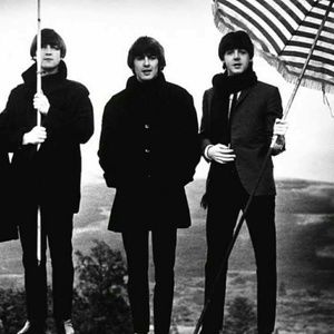 Meet your Posher, Audrey