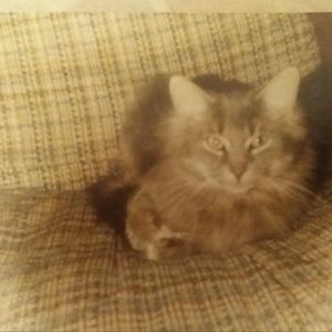 Meet your Posher, Louann