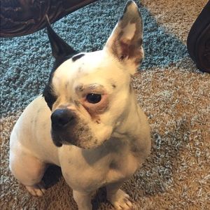 Meet your Posher, Chris