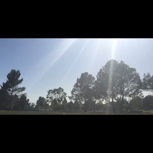 Meet your Posher, Virginia