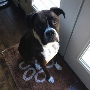 Meet your Posher, April