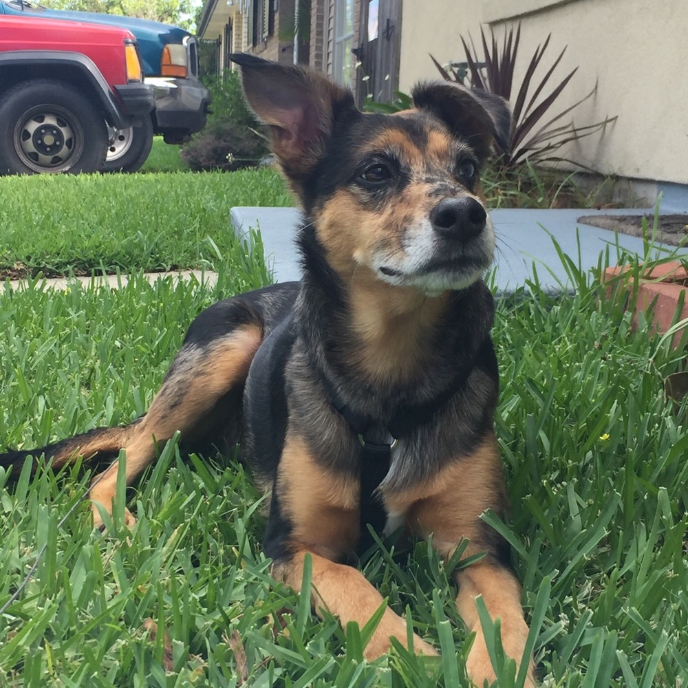 Meet your Posher, Allison