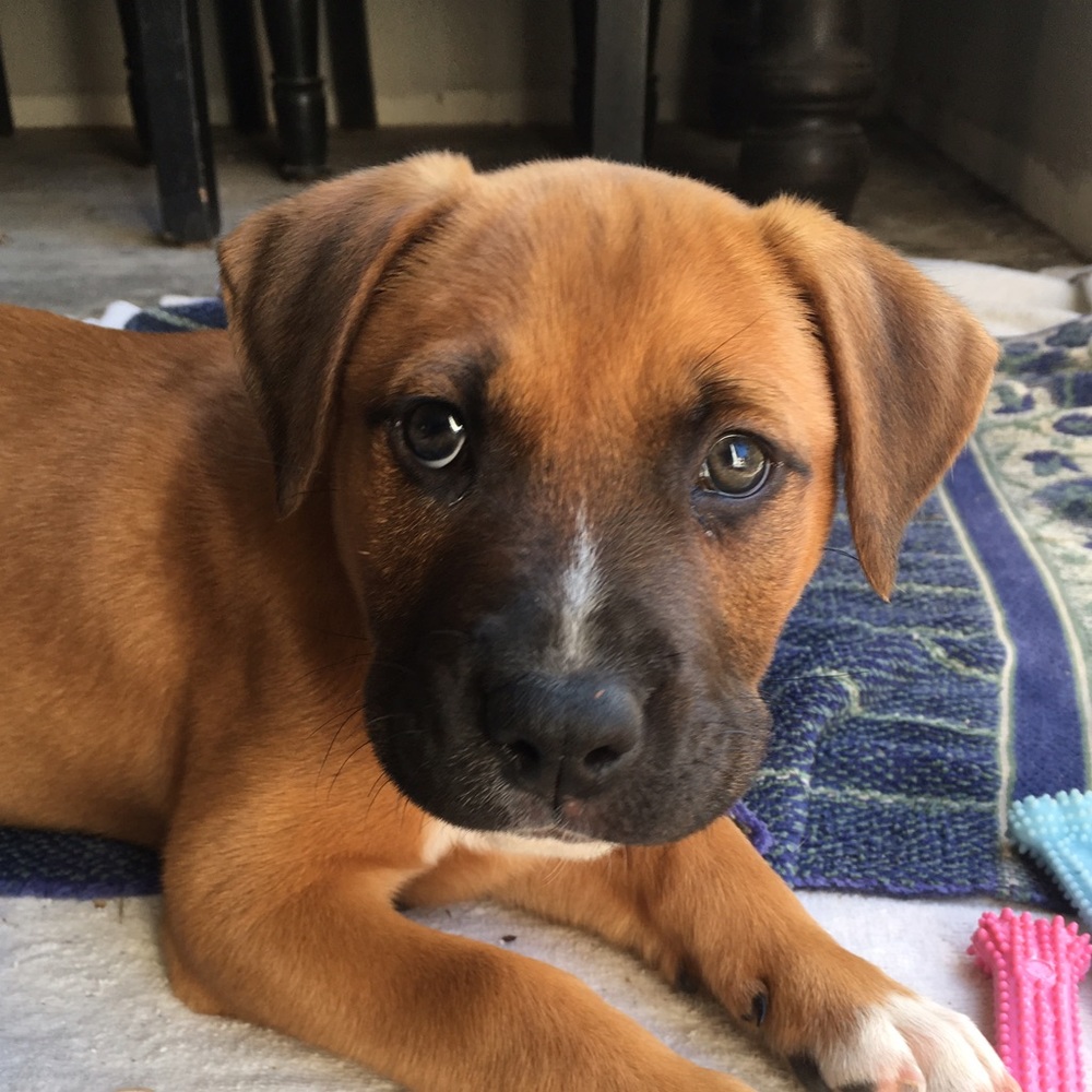 Meet your Posher, Liv