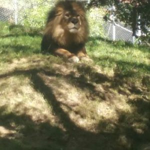 Meet your Posher, Ronnie