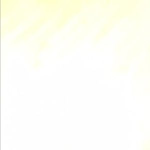 Meet your Posher, Amay