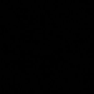 Meet your Posher, Heclor