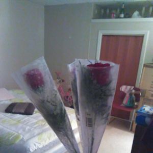 Meet your Posher, Ana