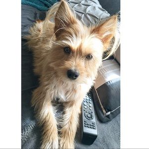 Meet your Posher, Tammy