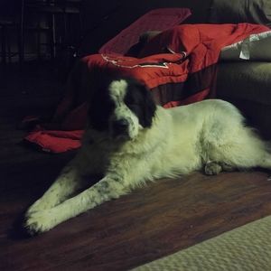 Meet your Posher, Pamela