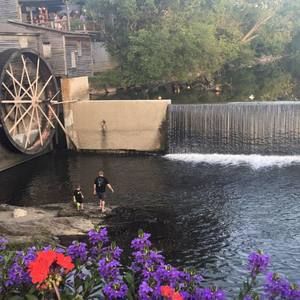 Meet your Posher, Barbara