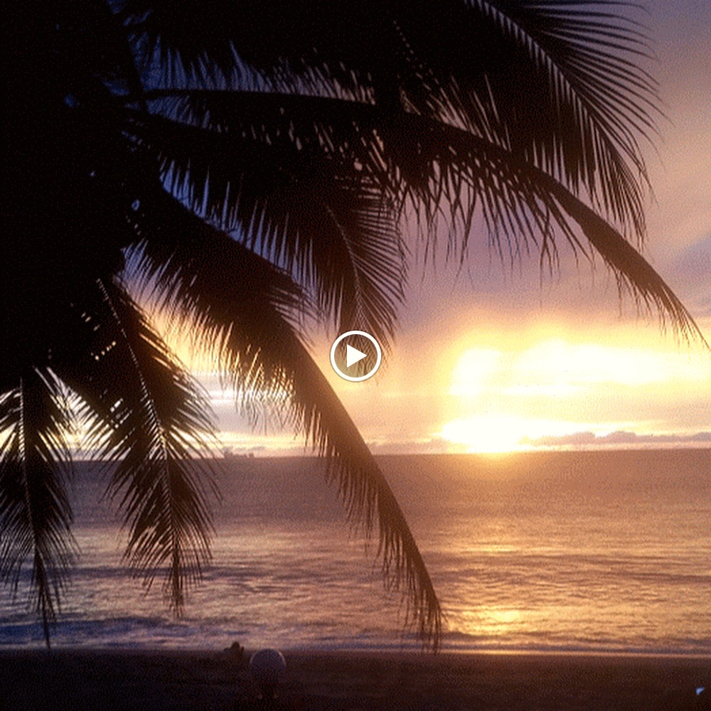 Meet your Posher, Paige