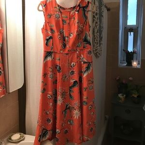 Ann Taylor dress