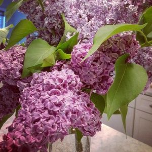 Meet your Posher, Carrie