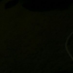 Meet your Posher, Gghhjkk