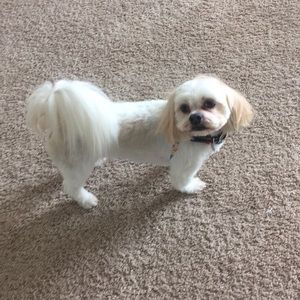 Meet your Posher, Tess