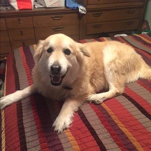 Meet your Posher, Caroline