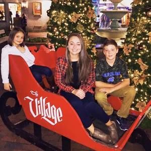 Meet your Posher, Dillon