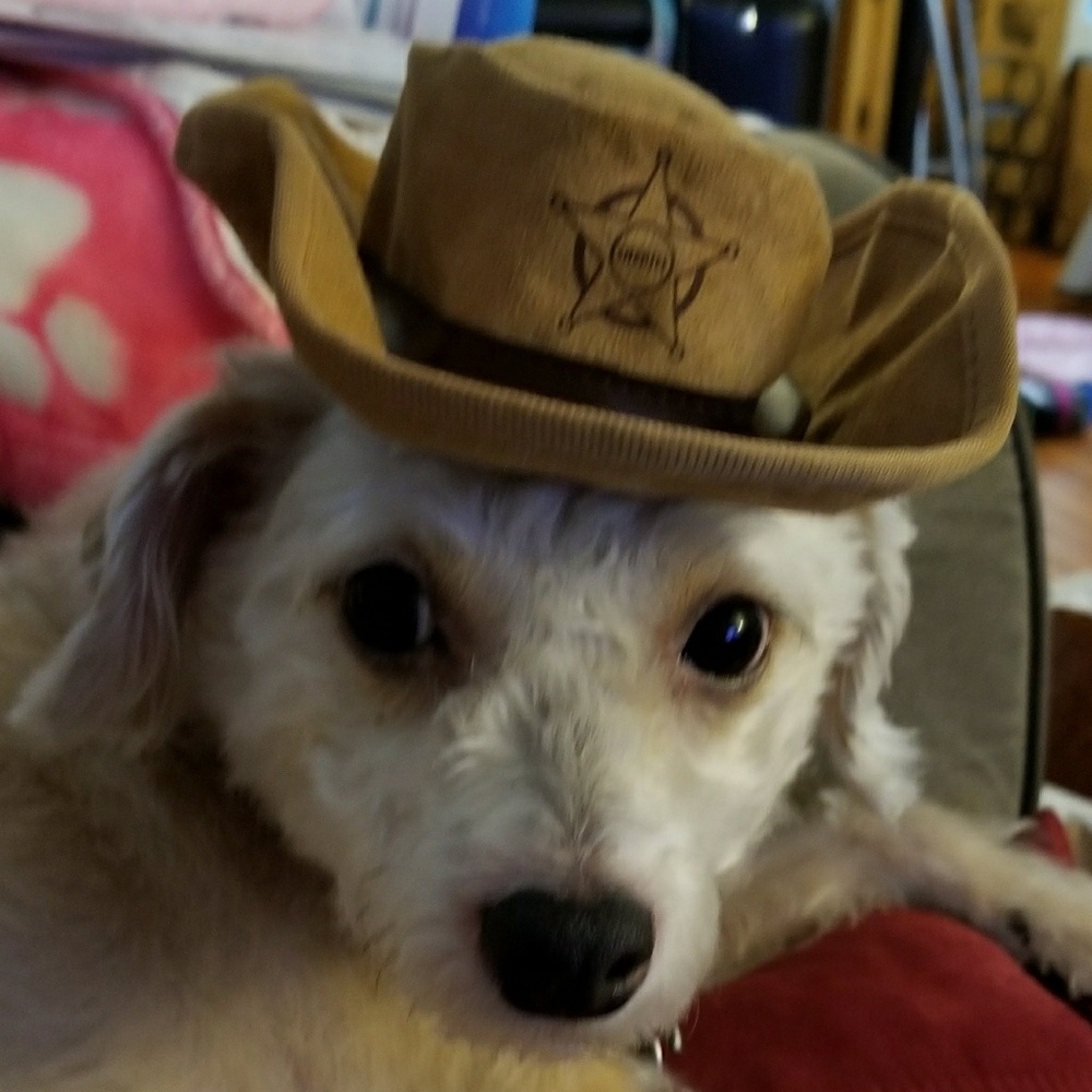 Meet your Posher, Maureen