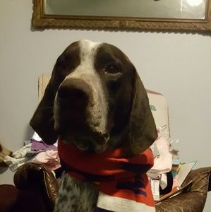 Meet your Posher, Terina