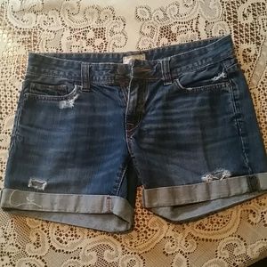 SALE: Gorgeous Distressed Shorts!