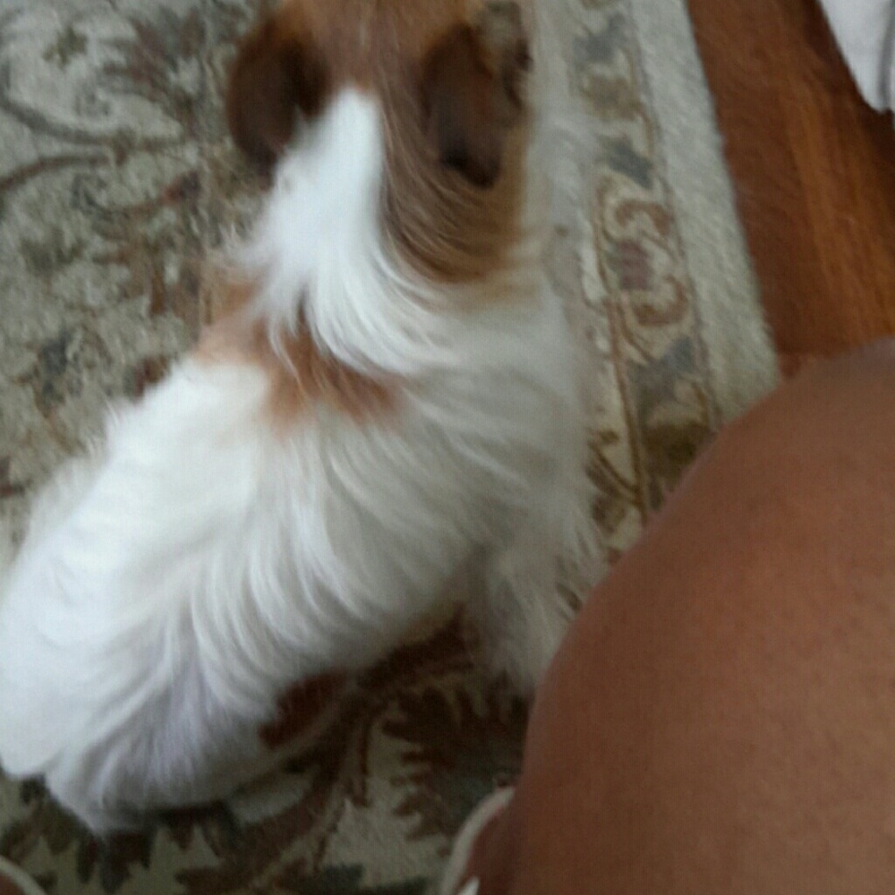 Meet your Posher, Marilyn