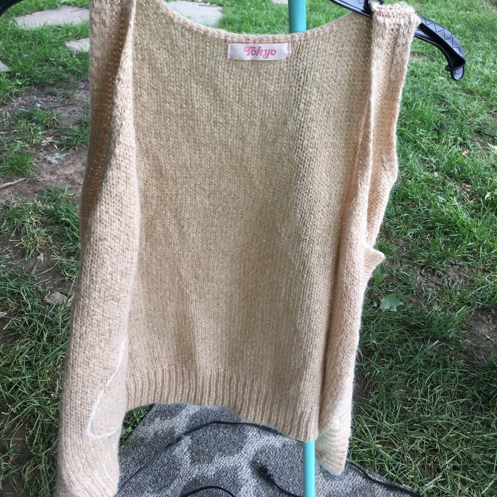 Adorable Sweater Vest