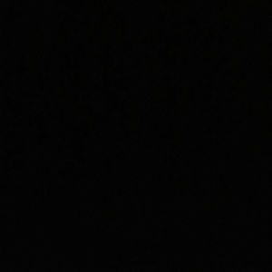 Meet your Posher, Gracie