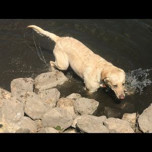 Meet your Posher, Heather