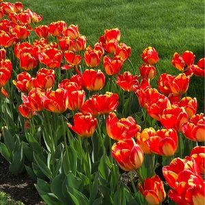 Meet your Posher, Rita