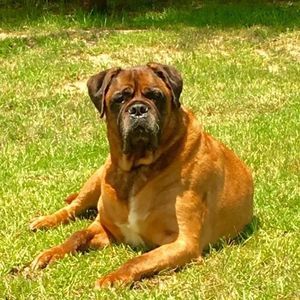 Meet your Posher, Tracie