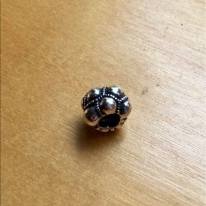 Pandora Journey Charm