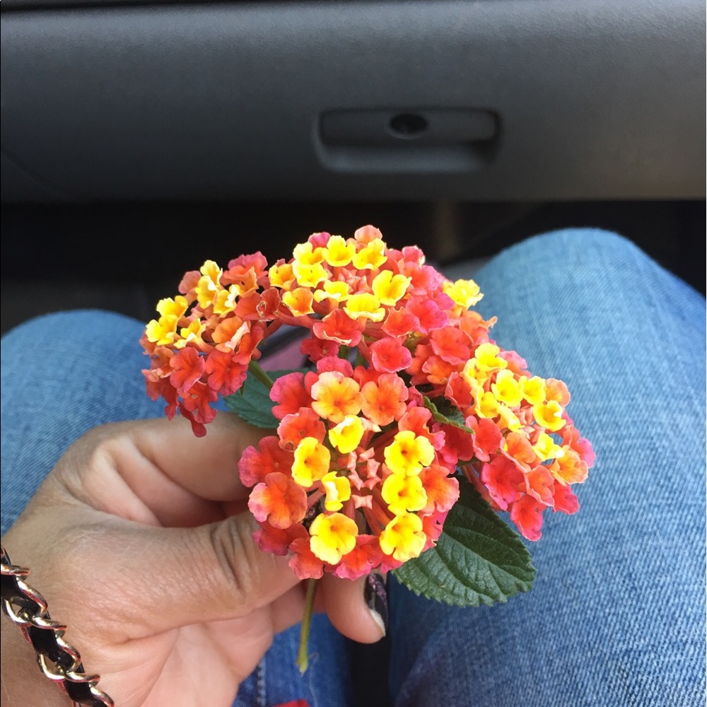 Meet your Posher, Leticia