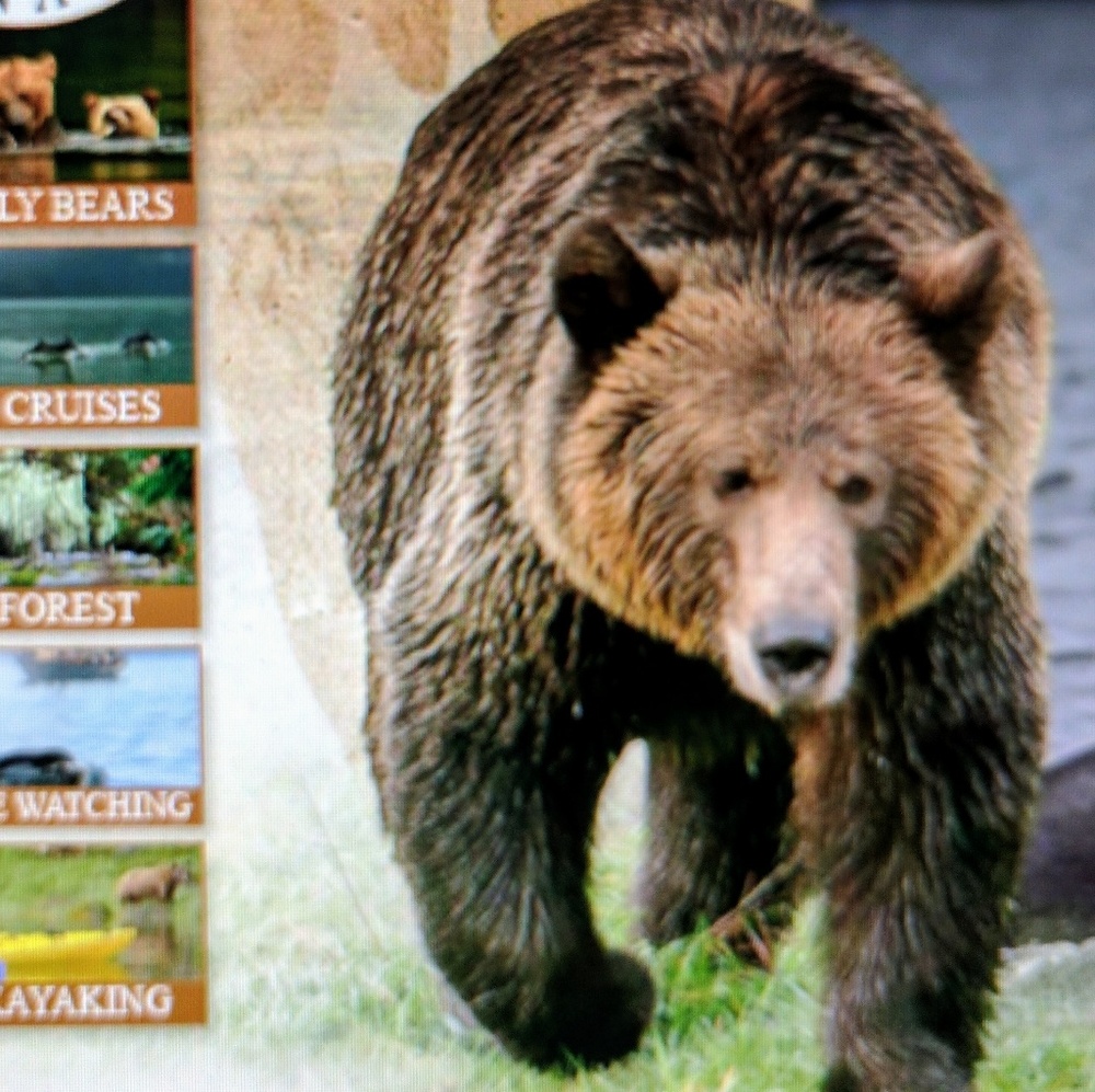 Meet your Posher, Jyll