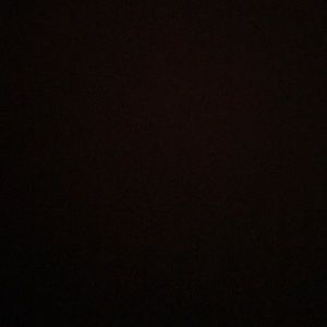 Meet your Posher, Gabby