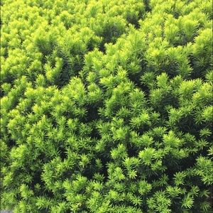 Meet your Posher, Max