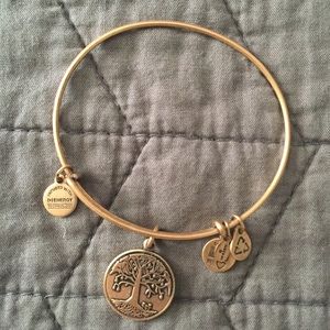 Alex and Ani Tree of Life charm bangle