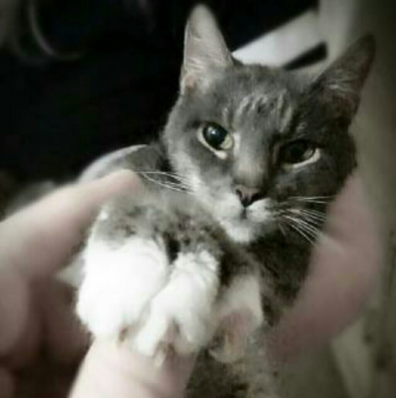 Hi I am Renee, - Picture 2 of 3