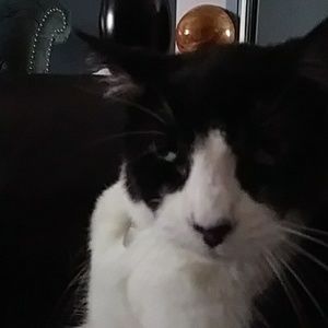 Meet your Posher, Erica