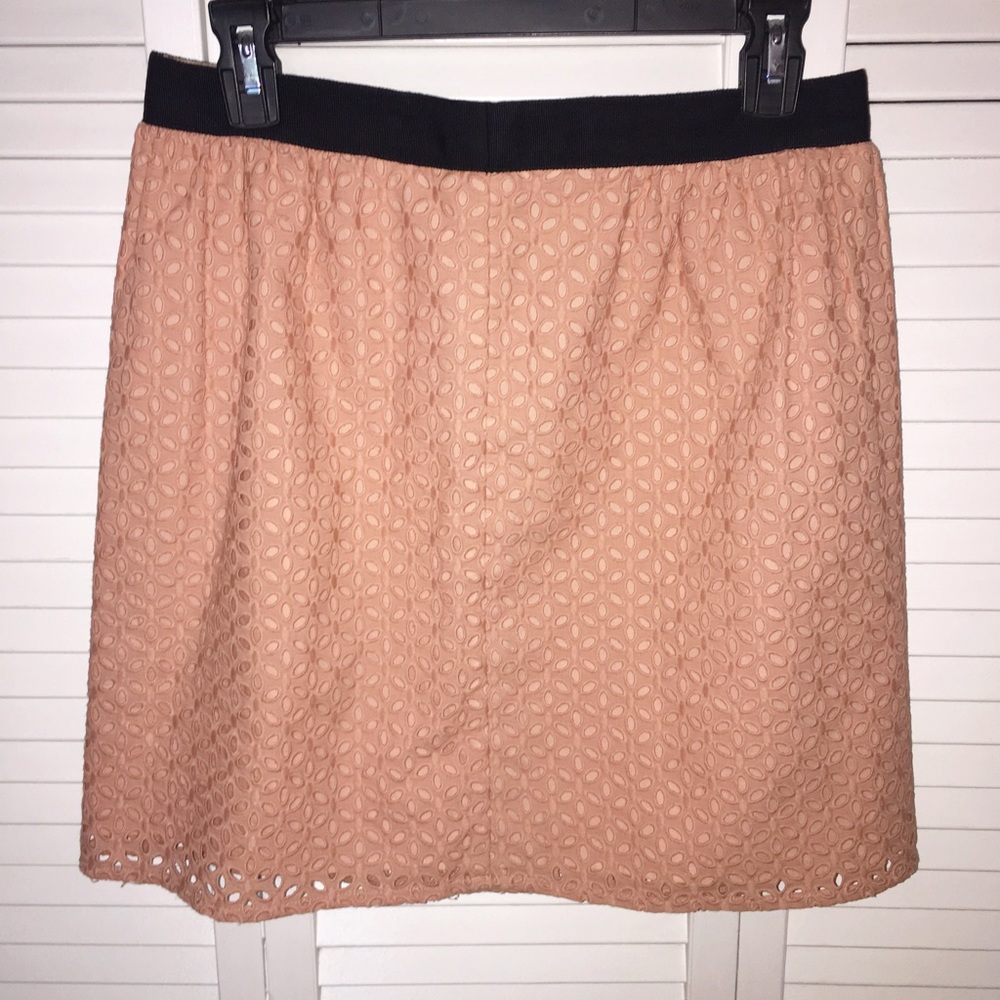 Ann Taylor LOFT bush pink perforated eyelet Skirt