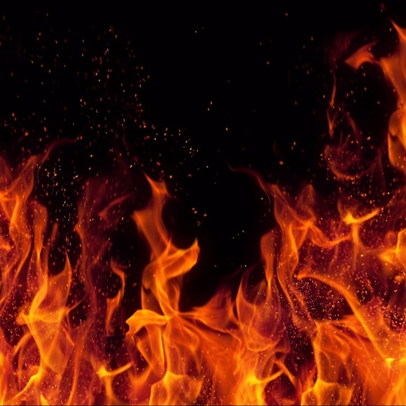 Meet your Posher, Kali - Picture 1 of 1