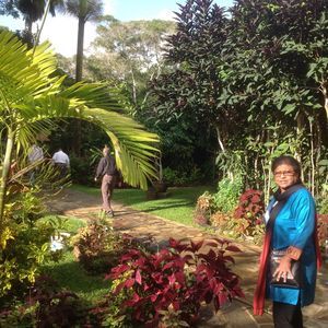 Meet your Posher, Hema